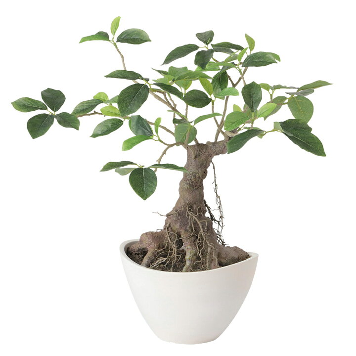 楽天市場】フェイクグリーン 観葉植物 フェイク 人工観葉植物 卓上 