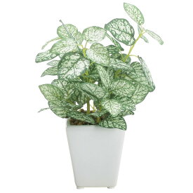 フェイクグリーン 観葉植物 フェイク リアル 人工観葉植物 造花 卓上 ミニ ロマンスの観葉 ペペロミア miniポット 光触媒 陶器鉢 フェイク グリーン インテリア おしゃれ CT触媒 お祝い [fd][rcp]