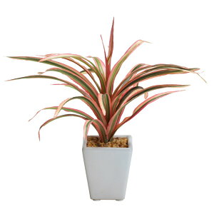 _10%OFFN[|^ ~j LhZi|bg 픫 tFCNO[ lHϗtA  G} tFCN O[ CeA  CTG} j [rcp]