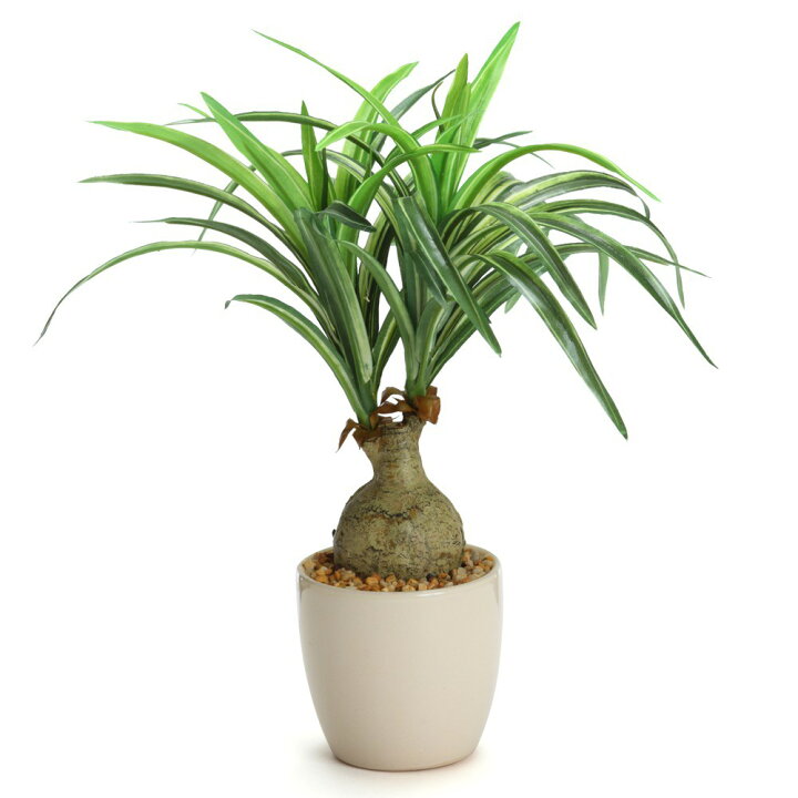 光触媒 人工観葉植物 ウォールグリーン フェイクグリーン ノリナ 