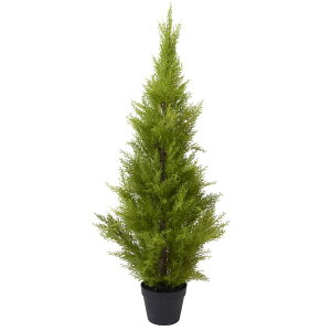 観葉植物 ゴールドクレスト 人工観葉植物の人気商品・通販・価格比較  
