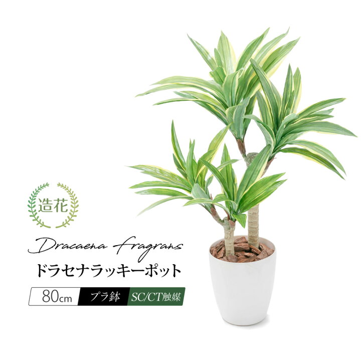 楽天市場】フェイクグリーン 観葉植物 フェイク リアル 人工観葉植物 