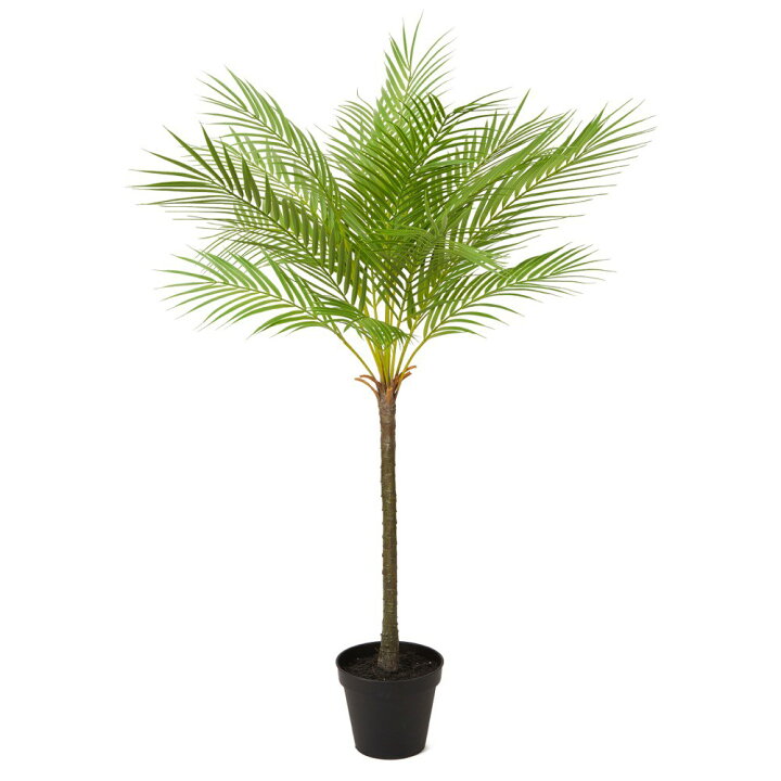 楽天市場 人工観葉植物 フェイクグリーン 観葉植物 造花 光触媒 大型 フェニックスパームポット 110cm フェイク グリーン インテリア おしゃれ Ct触媒 お祝い フェイクグリーンの神戸花物語 楽天市場 人工観葉植物 フェイクグリーン 観葉植物 造花 光触媒 大型 フェニックスパームポット 110cm フェイク グリーン インテリア おしゃれ Ct触媒 お祝い フェイクグリーンの神戸花物語