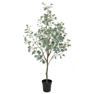 tFCNO[ ϗtA tFCN lHϗtA ^ G} ^  ۗt[J|bgigj O[ 152cm A lHG} CeA  CTG}