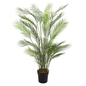 tFCNO[ ϗtA tFCN lHϗtA ^ G} ^  tFjbNXp[|bg O[ 142cm A lHG} CeA  CTG}