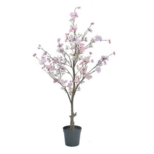 tFCNO[ ϗtA tFCN lHϗtA ^ G}  A 100cm  TN t[|bg lH ^ lH A  CeA lHG} fBXvC