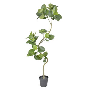 tFCNO[ ϗtA tFCN lHϗtA ^ G} cCXgEx[^|bg g Ȃ 200cm lH ^ lH A  CeA lHG} fBXvC