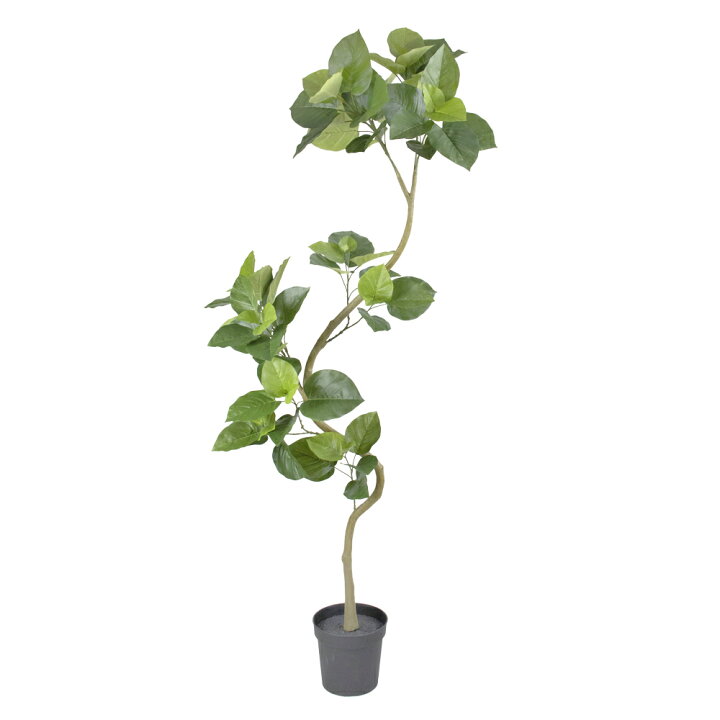 楽天市場】フェイクグリーン 観葉植物 フェイク 人工観葉植物 大型 