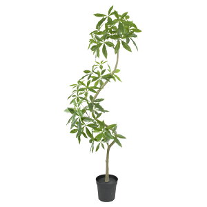 tFCNO[ ϗtA tFCN lHϗtA ^ G} cCXgpL|bg g Ȃ 200cm lH ^ lH A  CeA lHG} fBXvC