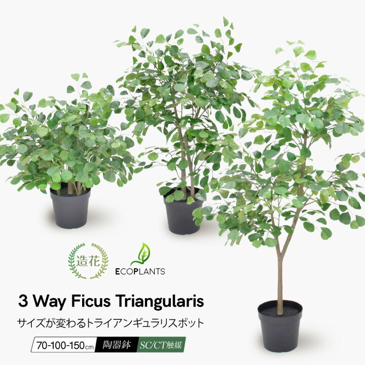楽天市場】フェイクグリーン 観葉植物 フェイク 人工観葉植物 大型 