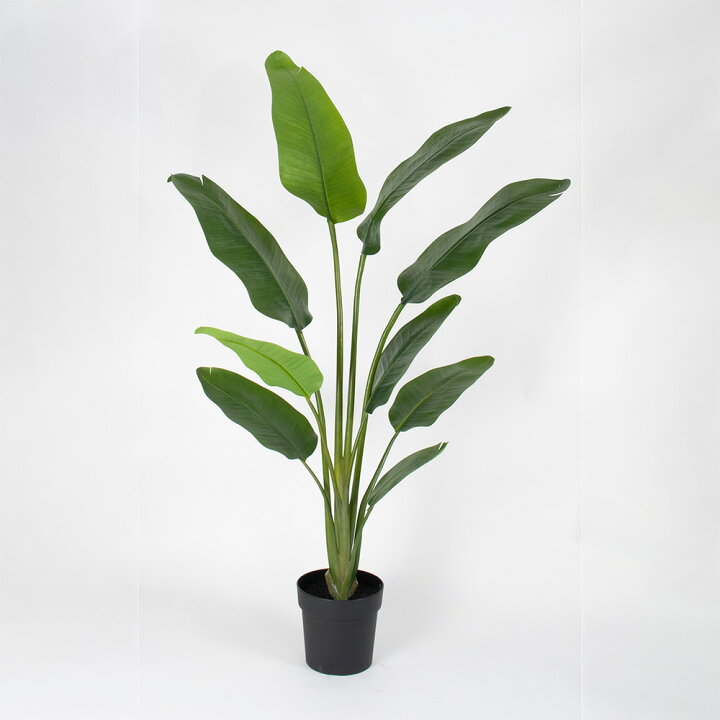 楽天市場】フェイクグリーン 観葉植物 フェイク 人工観葉植物 大型 