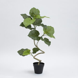 フェイクグリーン 観葉植物 フェイク 人工観葉植物 卓上 ミニ 小さい 光触媒 造花 スパイラルウンベラータポット グリーン 65cm リアル 人工 曲がり うねり ぐねり ぐねぐね 人気 玄関 リビン