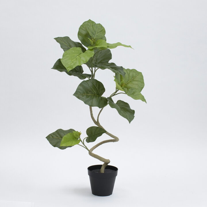 楽天市場】フェイクグリーン 観葉植物 フェイク 人工観葉植物 卓上 