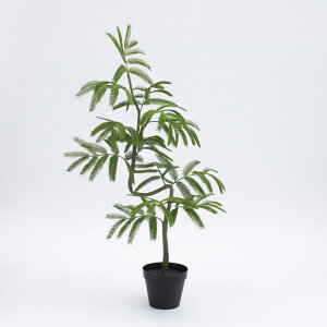 tFCNO[ ϗtA tFCN lHϗtA ^ G}  XpCGo[tbV|bg(S) O[ 70cm A lHȂ ˂ ˂ ˂ lC  rO It