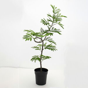 tFCNO[ ϗtA tFCN lHϗtA ^ G}  XpCGo[tbV|bg(M) O[ 102cm A lH lC  rO ItBX CeA  C