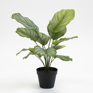 フェイクグリーン 観葉植物 フェイク 人工観葉植物 卓上 ミニ 小さい 光触媒 造花 カラテアポット グリーン 40cm リアル 人工 人気 玄関 リビング オフィス インテリア 部屋 空気清浄 光触媒