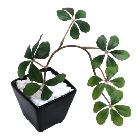 フェイクグリーン 観葉植物 フェイク 人工観葉植物 卓上 ミニ 小さい 光触媒 ミニ シサス シュガーバイン 陶器鉢 リアル シッサス 人工造花 光触媒 シュガーパイン インテリア おしゃれ CT触媒 消臭 お祝い[fd] 人気 [rcp]