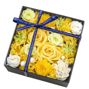 vU[uht[ t[{bNX j v|[Y  Mtg  ͂Ȃ  a  蕨 t[AWg sN zCg KN z v[