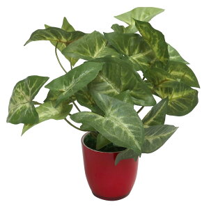 tFCNO[ ϗtA tFCN A lHϗtA  ~j gVSjE e[u|bg 18cm  G}  CTG} v[g j ̓ [md][kd][rcp]