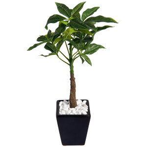 tFCNO[ ~j  pL lH ϗtA G} CTG} L  CeA e[u 킢 G  JtF Lb` lC A 픫 A [fd][rcp][nnf] / ~j pL 2