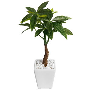 tFCNO[ ~j  pL lH ϗtA G} CTG} L  CeA e[u 킢 G  JtF Lb` lC A 픫 A [fd][rcp][nnf] / ~j pL 2