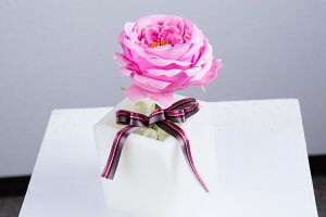 y SALEz t[ A[eBtBVt[ LxbW[Y sNM [cp-pm]  G} A[eBtBVt[ [F-L] Mtg v[g NX}X Lh LEDC