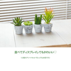 ミニサボテンアソートセット(光触媒より優れたCT触媒/SC触媒/インテリア/お祝い)【フェイクグリーン観葉植物人工】
