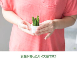 ミニサボテンアソートセット(光触媒より優れたCT触媒/SC触媒/インテリア/お祝い)【フェイクグリーン観葉植物人工】