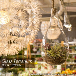 _10%OFFN[|^ tFCNO[ ϗtA tFCN lHϗtA  ~j  G} KXeE nMO  lH CTG} G} CeA A ݂邷[fd]