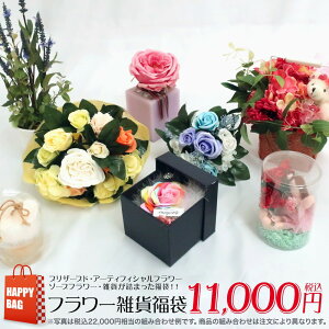 y 2024z t[Gݕ nbs[obOivU[uht[ A[eBtBVt[ \[vt[j   AEgbg 󂠂 lC [rcp]