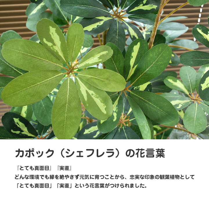フェイクグリーン 大型 シェフレラ カポック 180cm 鉢植 観葉植物 造花 人工観葉植物 光触媒 Ct触媒 インテリア 9 新作人気
