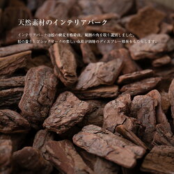 フェイクグリーン大型ストレリチアレギネ130cm鉢植極楽鳥花ストレチア【観葉植物造花光触媒SC/CT触媒人工観葉植物フェイクグリーン】