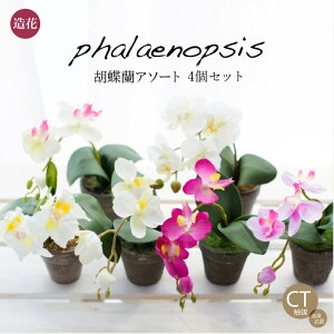  ~jӒ4Zbg  A[eBtBVt[ p   Mtg v[g 蕨 s CTG} G} L R CeA j  ̓ [whd][md][kd][rcp]