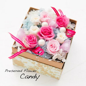 vU[uht[ t[{bNX j   Mtg v[g a  蕨 t[AWg KN z o [Y sN u[ zCg v[