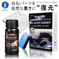 未塗装樹脂コーティング 車 黒樹脂 復活 樹脂コーティング 白化 劣化 色あせ防止 超撥水 6ヶ月耐久 艶出…