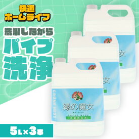 【3個セット】 緑の魔女 ランドリー 業務用 5L 5kg 洗剤 ミマスクリーンケア 送料無料 服 5000mL 液体洗剤 衣類用 大容量 ドイツ 洗濯洗剤 洗濯機 作業服 パイプクリーナー 排水管掃除 バイオ・ハイテク洗剤 大掃除