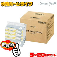 【100個セット】ティッシュペーパー ティッシュ ティシュ— ティッシュペーパー ソフトパック ティッシュ…