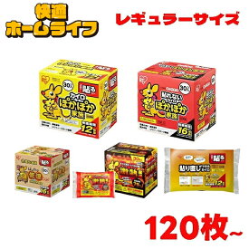 【選べる枚数＆タイプ】 カイロ レギュラーサイズ 120枚 240枚 480枚 貼る 貼らない 激熱 低温 貼り直しできる 使い捨てカイロ 温活 お腹 背中 腰 防寒 寒さ対策 冷え対策 通勤 通学 アウトドア 防災 備蓄 ぽかぽか家族*