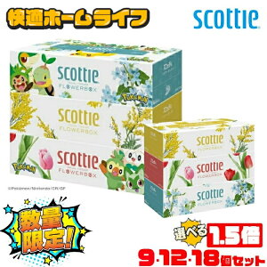 y27E36E54Zbgz eBbV XRbeB t[{bNX 250gi500j 3pbN 41330 eBbVy[p[ eBbV t[ {bNX e  RpNg 250g SCOTTIE |P