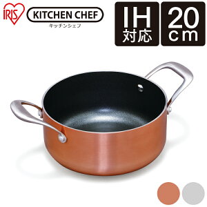  ihΉ 20cm   IH Ȃ20cm DG-P20 Vo[ uY  _ChOCX Ȃ20cm _ChR[g Ȃ  Ȃ IH   _ChR[eBO 