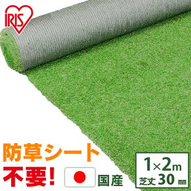 楽天市場 インテリア 壁 芝生 ガーデニング 農業 花 ガーデン Diyの通販