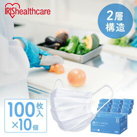 マスク 不織布 通気性 1000枚（100枚×10個） 痛くなりにくい 白 大容量 普通サイズ ふつう 使い捨て プリーツ 2層 二層構造 飛沫防止 2層プリーツマスク ホワイト アイリスオーヤマ PN-WR100L