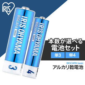 【1,000円ポッキリ! 】 乾電池 単3 単4 40本 まとめ買い アイリスオーヤマ 5年保存 防災 備品 備蓄 単三 単四 電池 送料無料 BIGCAPA basic 単3×40本 単4×40本 単3×20本＋単4×20本 新生活 アルカリ 電池 【代金引換不可・日時指定不可】 【メール便】