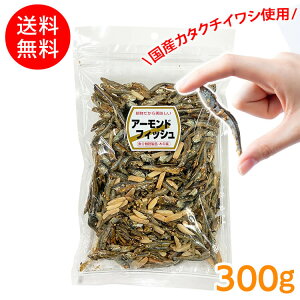 A[h  A[h A[htBbV  tBbV JVE  JVE⋋  ܂ y[ցz