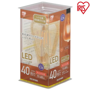 �y10�Z�b�g�zled�d�� �d�� led �A�C���X LED�t�B�������g�d�� ���g�������ߒ��K���X�� 40�`���� �L�����h���F LDF4C-G-FK �A�C���X�I�[���} ��������[2604SO]