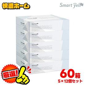 ボックスティッシュ 60箱 箱ティッシュ 60箱 ティッシュ— ソフト コンパクト ティッシュペーパー スマートエール 150組（300枚） 5個入り×12パック ティッシュ オフィス 業務用 まとめ買い 花粉 ティッシュ 大容量