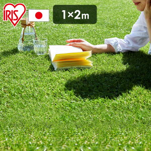 lH AlH IP-3012 lH 1m×2m y2āz lHŐ Ő Ń}bg ACXI[} lHŃ}bg Ő}bg ACX\[R[