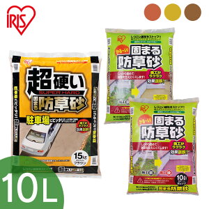 ł܂h h W 10L IW CG[