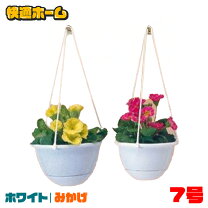 楽天市場】在庫処分（植木鉢｜植木鉢・プランター）：ガーデニング 