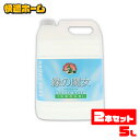 緑の魔女 ランドリー 5l 2個セット 緑の魔女 ランドリー 業務用 5L 5kg 洗濯洗剤 ミマスクリーンケア 送料無料 洗剤 5000mL 2本セット 液体洗剤 衣類用 大容量 洗濯機 パイプクリーナー 排水管 掃除【数量限定】